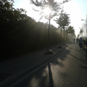 扒开❌狂揉❌脱脱的视频
