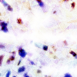 扒开❌狂揉❌脱脱的视频
